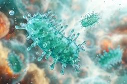 Greffe de rein : un receveur américain meurt de la rage