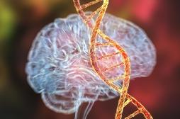 Dépression : la cause génétique se précise