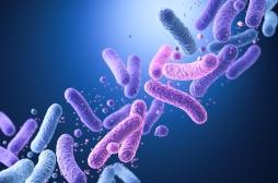 Diabète : notre microbiote cache-t-il la clé du contrôle glycémique ?