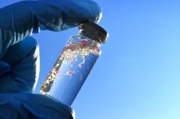 Nanoplastiques : l’exercice peut-il atténuer les effets néfastes sur la santé ?