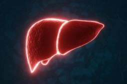 Cancer du foie : ce simple changement alimentaire réduit les risques 