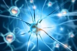 Un réparateur d’ADN pour traiter Alzheimer ?