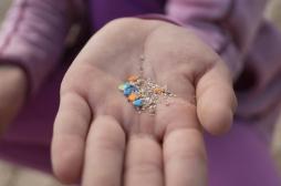 Comment les microplastiques perturbent le développement du fœtus