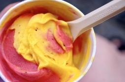 Glaces : comment éviter la rupture de la chaîne du froid ?