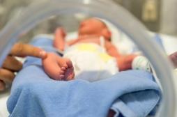 Le lait maternel stimule le développement du cerveau des bébés prématurés