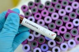 Coronavirus : la maladie pourrait aussi se transmettre par voie fécale