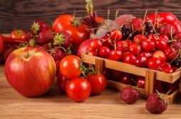 Allergies aux fraises et aux tomates : le risque dépend de la variété et peut être minoré