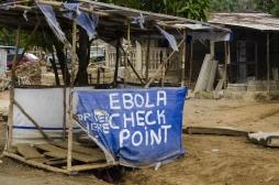 Les survivants d’Ebola ont des anomalies sévères du système immunitaire deux ans après 