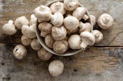 Vitamine D, zinc, potassium... Le champignon, un véritable allié nutritionnel et diététique 