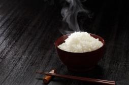 Hypertension : du riz génétiquement modifié pour prévenir et traiter la maladie 