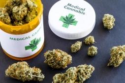 Le Comité éthique et cancer ne s'oppose pas au cannabis thérapeutique