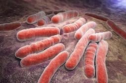 Superbactéries : plus de 30 000 morts en Europe à cause de politiques de santé « court-termistes »