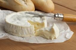 Fromages au lait cru : comment prévenir les intoxications ?