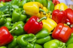 Ce nutriment courant favoriserait le traitement du cancer