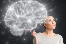 Que se passe-t-il dans le cerveau des femmes lorsqu’elles ont leurs règles ?