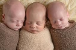 FIV : pourquoi le transfert d’un seul embryon peut aboutir à des jumeaux ou à des triplés