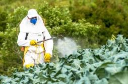 Glyphosate : l'exposition des bébés aux pesticides associée à l'autisme 