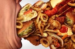 Nutrition : un circuit neuronal lié à l'impulsivité alimentaire 