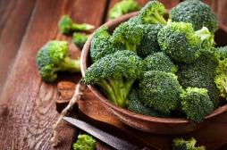 Le brocoli protège les intestins et éloigne les maladies