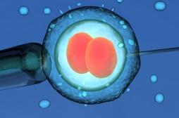 Bébés génétiquement modifiés : la Russie veut s'y mettre