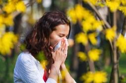 Les allergies sont de retour dans toute la France