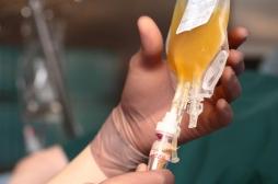 Covid-19 : qu’est-ce que le traitement au plasma autorisé aux États-Unis ? 