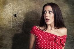 Arachnophobie : une solution efficace pour réduire efficacement sa phobie 