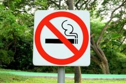 Strasbourg : c'est officiel, il est désormais interdit de fumer dans les parcs et espaces verts