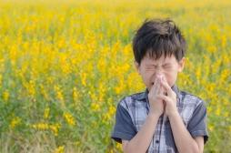 Le risque allergique chez l'enfant est sous-estimé par les parents alors qu'il est en augmentation