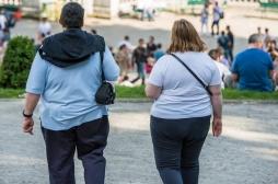 Un quart de la population mondiale sera obèse en 2045 : quels sont les pays les plus concernés ?        