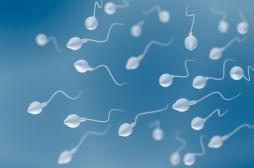 Chlordécone : une faible exposition affecte la fertilité sur plusieurs générations