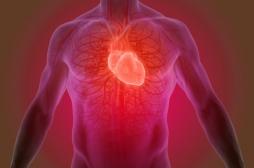 Prévention de la crise cardiaque : un nouveau médicament sans effets secondaires sur le risque hémorragique