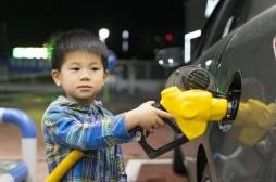 Pollution et descendance