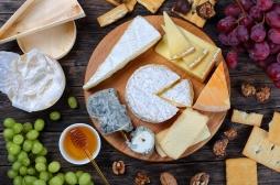 Cerveau : manger du fromage améliorerait les fonctions cognitives