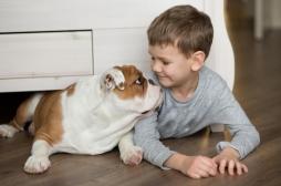 Le chien aide le traitement des enfants atteints de trouble du langage