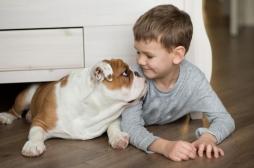 Asthme : le traitement permet le retour des animaux domestiques à la maison