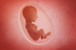 Pollution : les particules fines atteignent le placenta des femmes enceintes