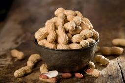 Manger des cacahuètes bouillies, la solution pour guérir d’une allergie à l'arachide ? 