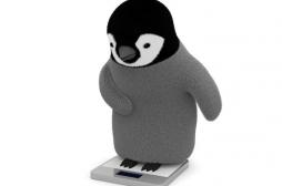 Pesez-vous … Pour la dernière fois avant 4 semaines.