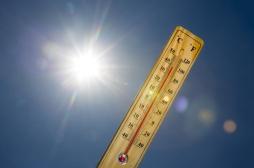 Réchauffement climatique : comment il menace notre santé à tous les âges