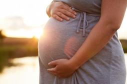 Alsace : une patiente tombe enceinte après un cancer grâce à une autogreffe de tissu ovarien