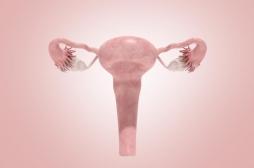 Cancer de l’ovaire : plus de 3400 décès en 2018, comment le détecter tôt ?