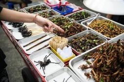 Manger des insectes peut améliorer la santé intestinale et aider la planète