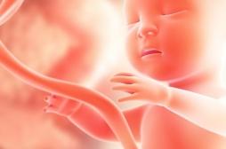 Le don d’ « organe » commence à la naissance
