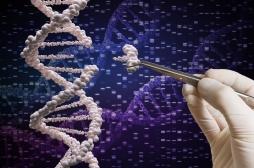 Chine : le chercheur à l’origine des jumelles génétiquement modifiées condamné à 3 ans de prison