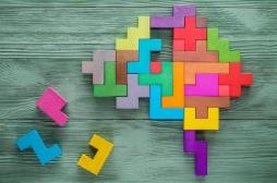 Cerveau : le rôle crucial de l’hippocampe dans le processus de mémoire