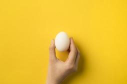 Manger un œuf par jour, c'est bon contre les maladies cardiovasculaires