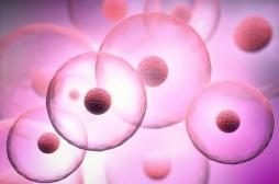 Parkinson et cellules souches : où en est la recherche ? 