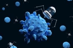 Cancer de la vessie : les nanorobots peuvent réduire les tumeurs de 90 %