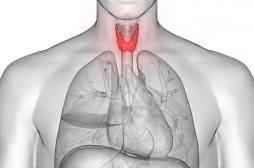Hyperthyroïdie et hypothyroïdie : mieux comprendre le fonctionnement de la thyroïde